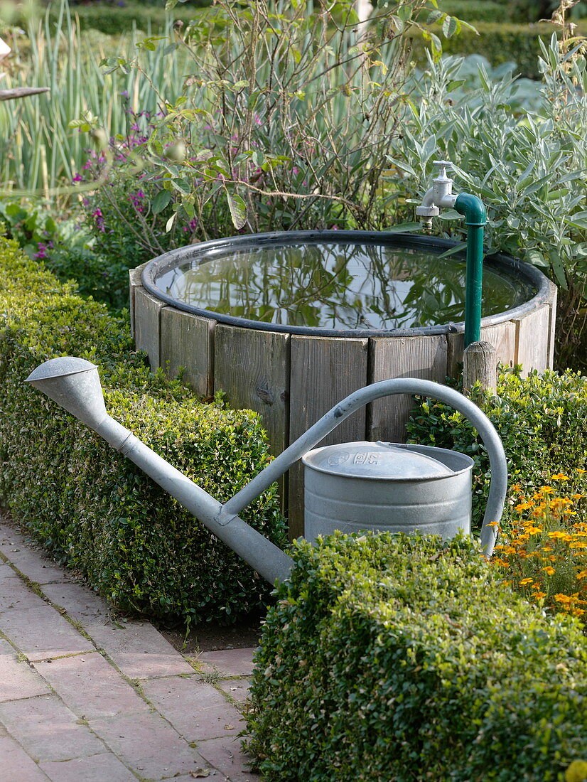 Artist's garden: Water barrel with wooden cladding