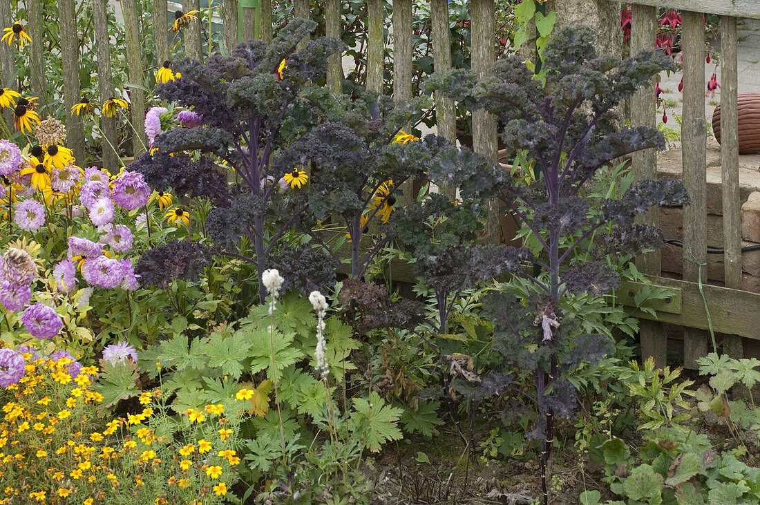 Artist's garden with vegetables and summer flowers