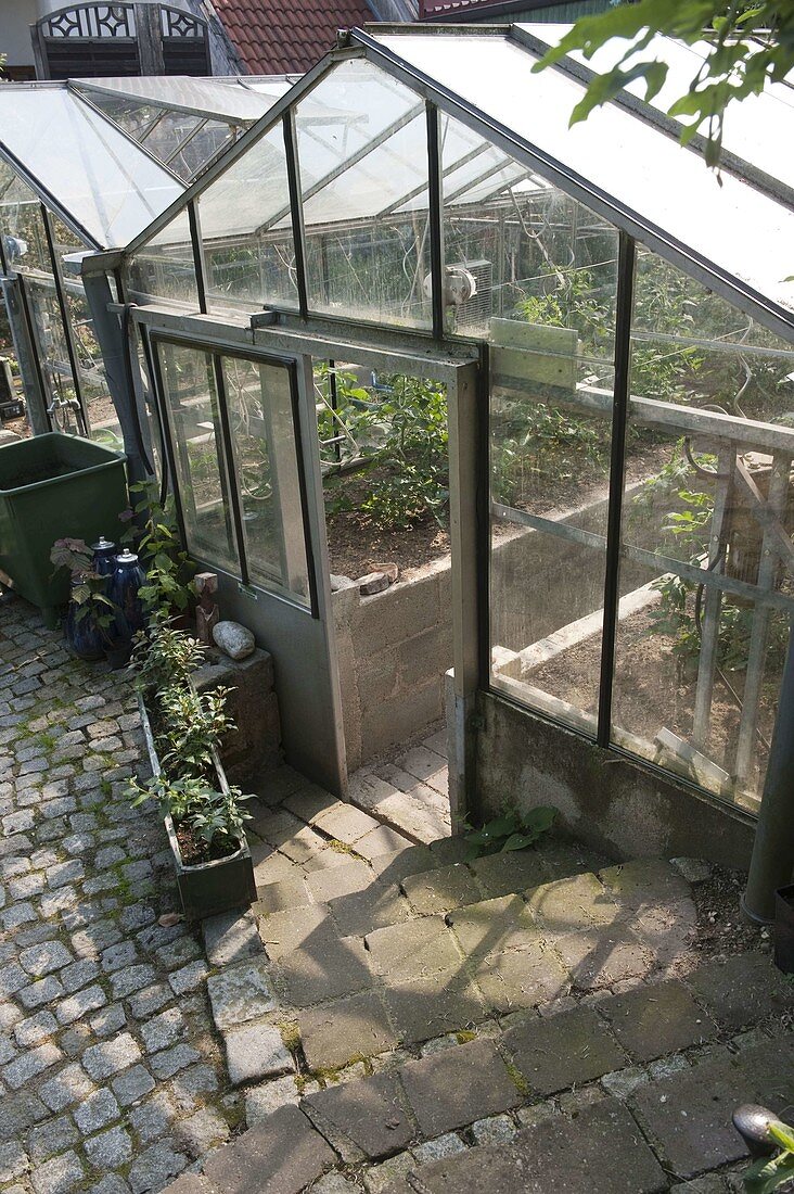 Artist's garden: greenhouse
