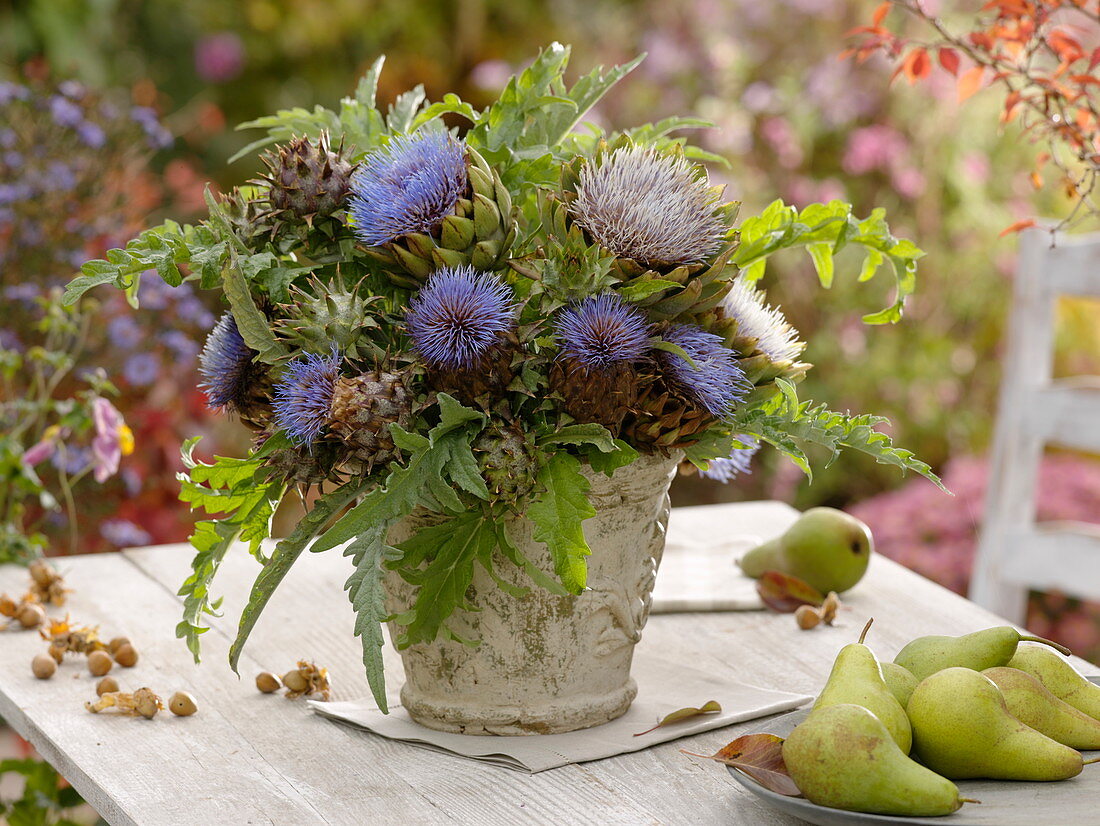 Bouquet of artichoke (Cynara scolymus) flowers and leaves