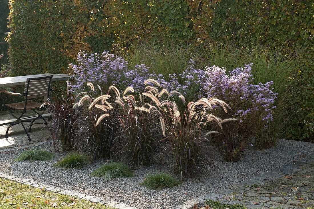 Gravel bed with grasses and perennials