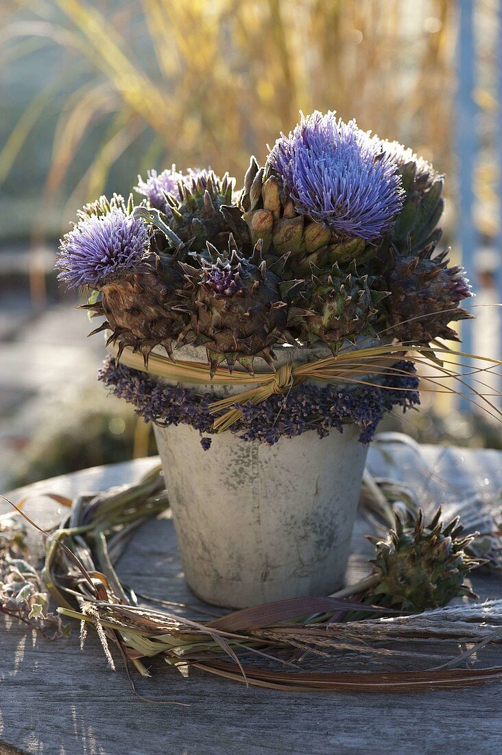 Überfrorener Strauß aus Artischocken (Cynara scolymus)