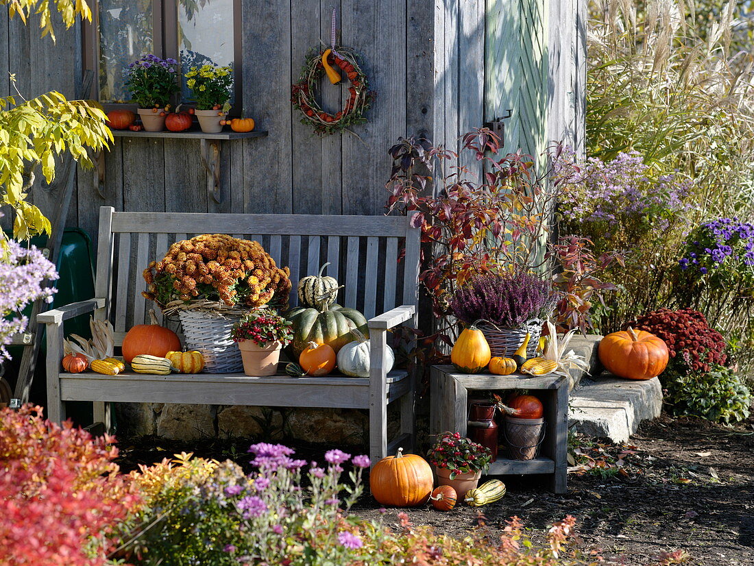 Herbstgestaltung am Gartenhaus