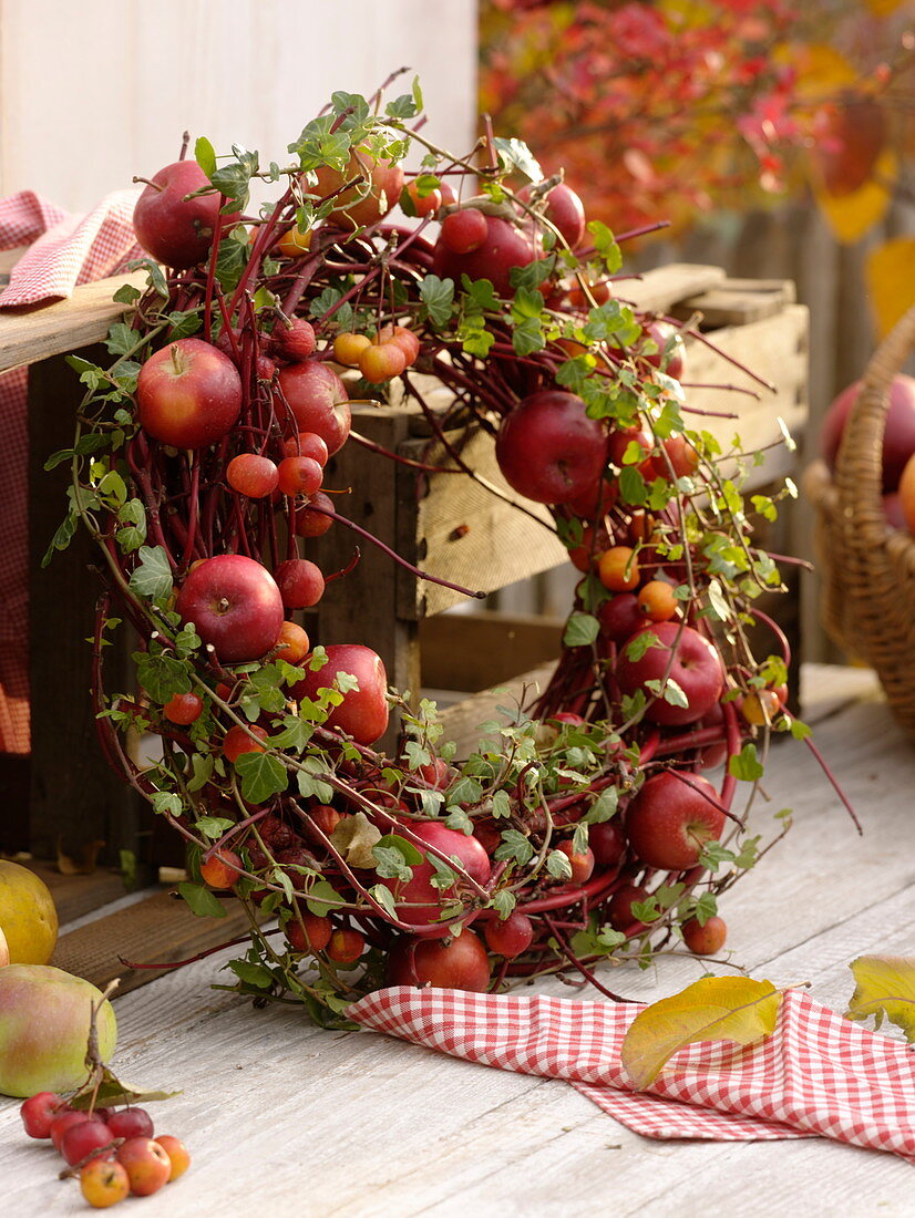 Wreath of Cornus (dogwood branches), Hedera (ivy vines) with apples