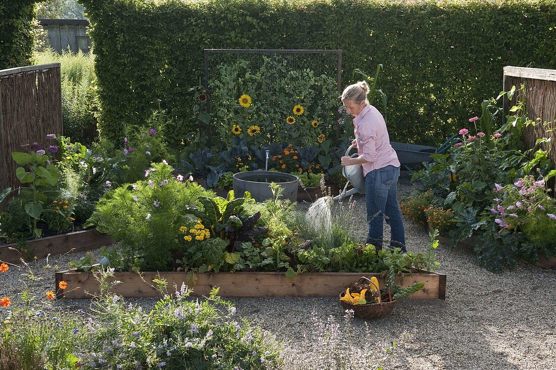 Creating trapezoidal beds as a vegetable and herb garden