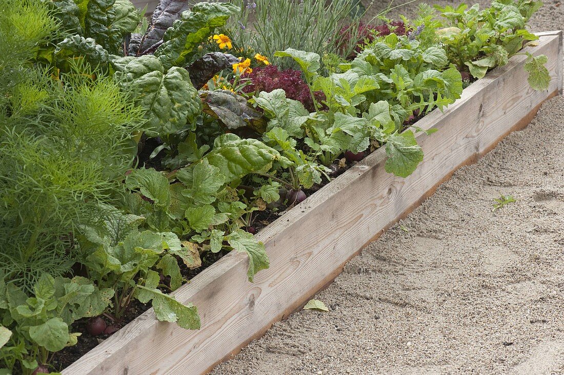 Creating trapezoidal beds as a vegetable and herb garden