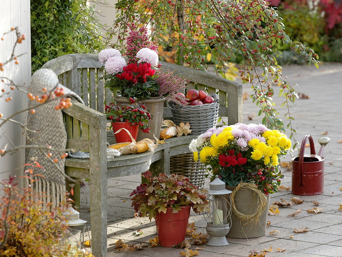 Herbstterrasse mit Holzbank