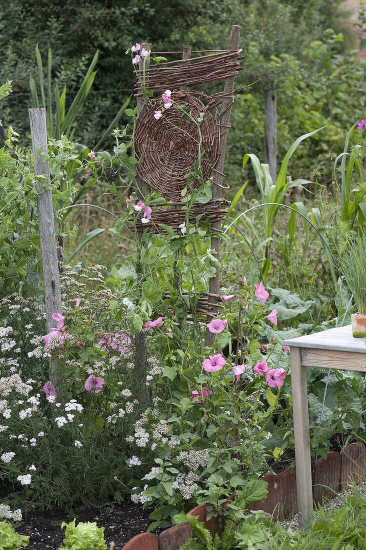 Farm garden through the year, from planting to harvesting