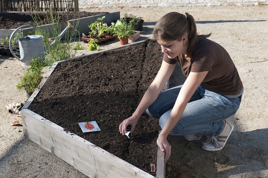 Creating trapezoidal beds as a vegetable and herb garden