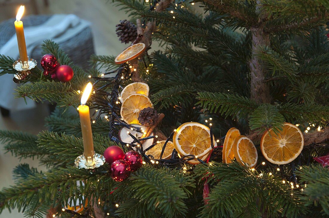 Coconut rope with orange slices (Citrus), cinnamon sticks, cones