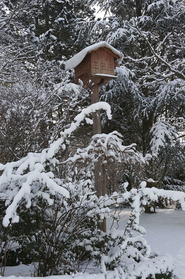 Vogelhaus im verschneiten Garten zwischen Gehölzen