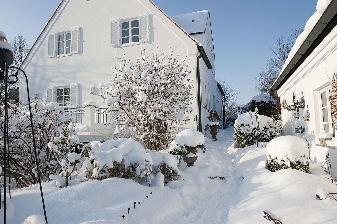 Path through the snowy garden to the house