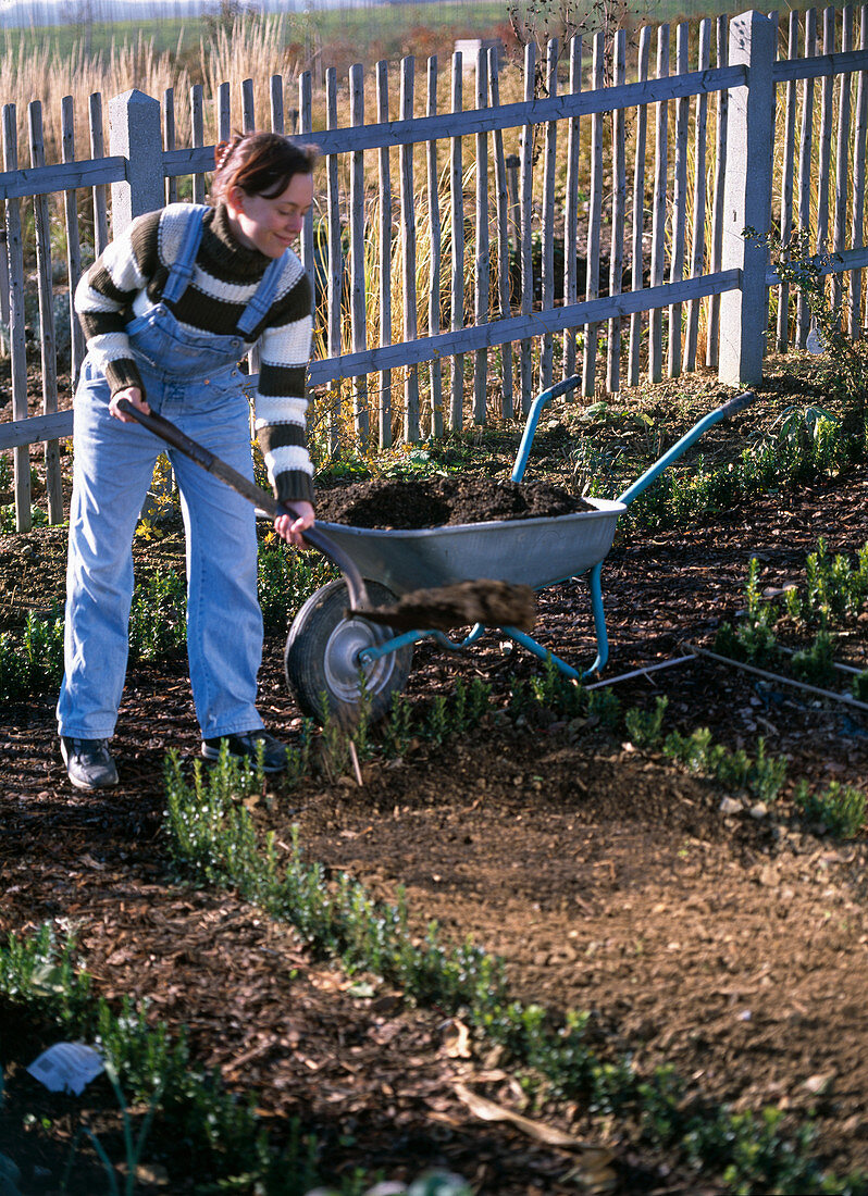 Spread compost in the cottage garden in autumn