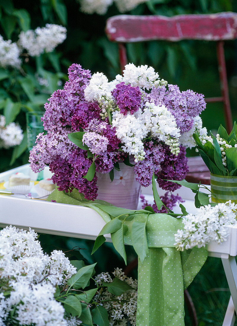 Syringa (lilac), Convallaria (lily of the valley)