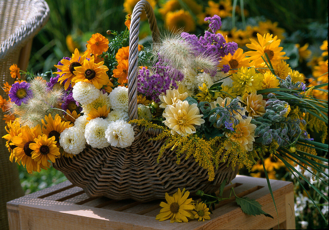 Korb mit frisch geschnittenen Sommerblumen für einen Strauß