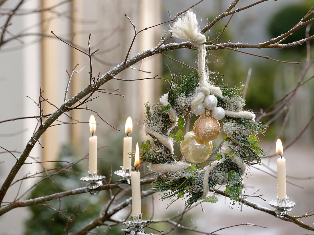 Snowy wreath of Pinus, Hedera and Cladonia