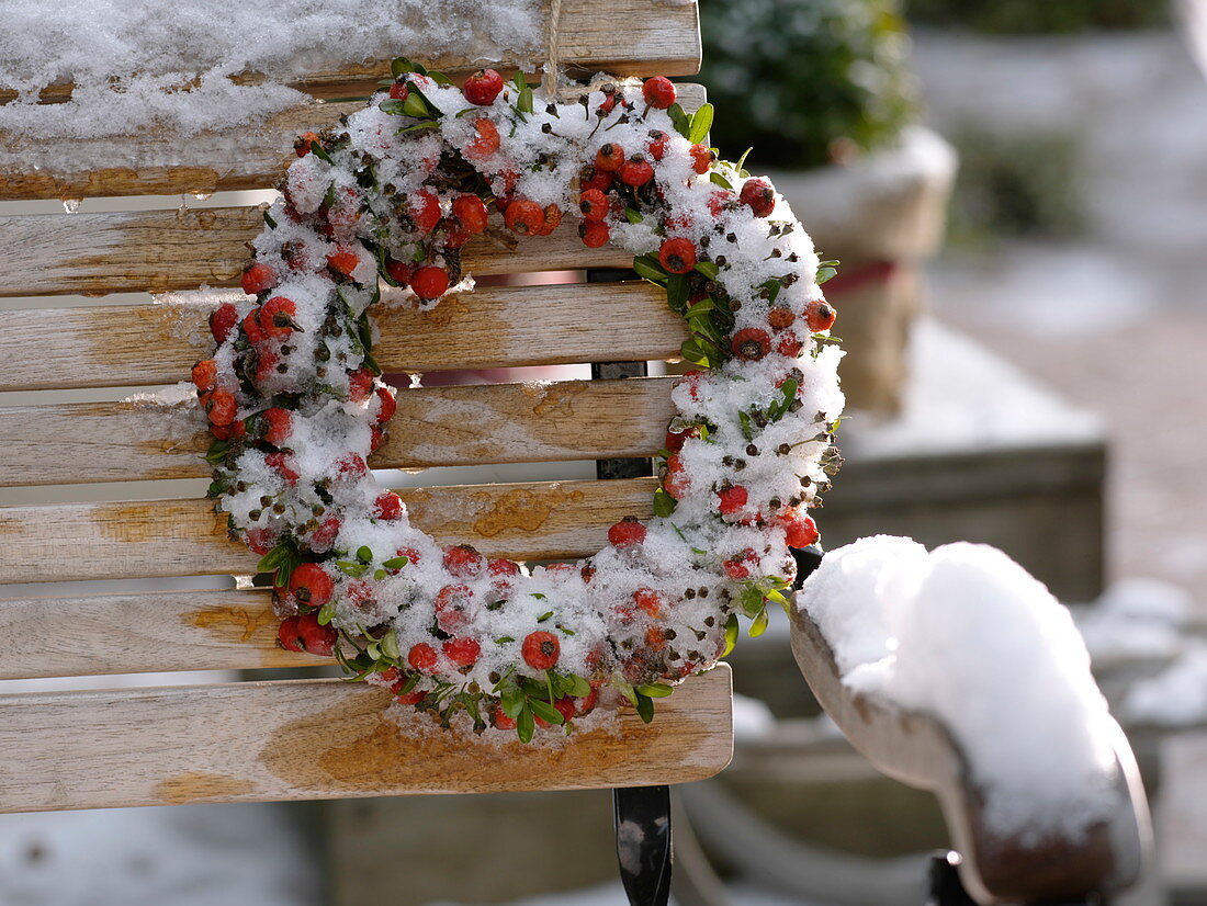 Wreath of pink (rose hips), Buxus (boxwood) and Hedera buds