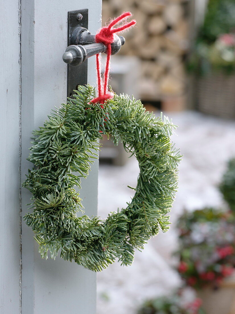 Simple wreath of Abies nobilis (silver fir) hung on door handle