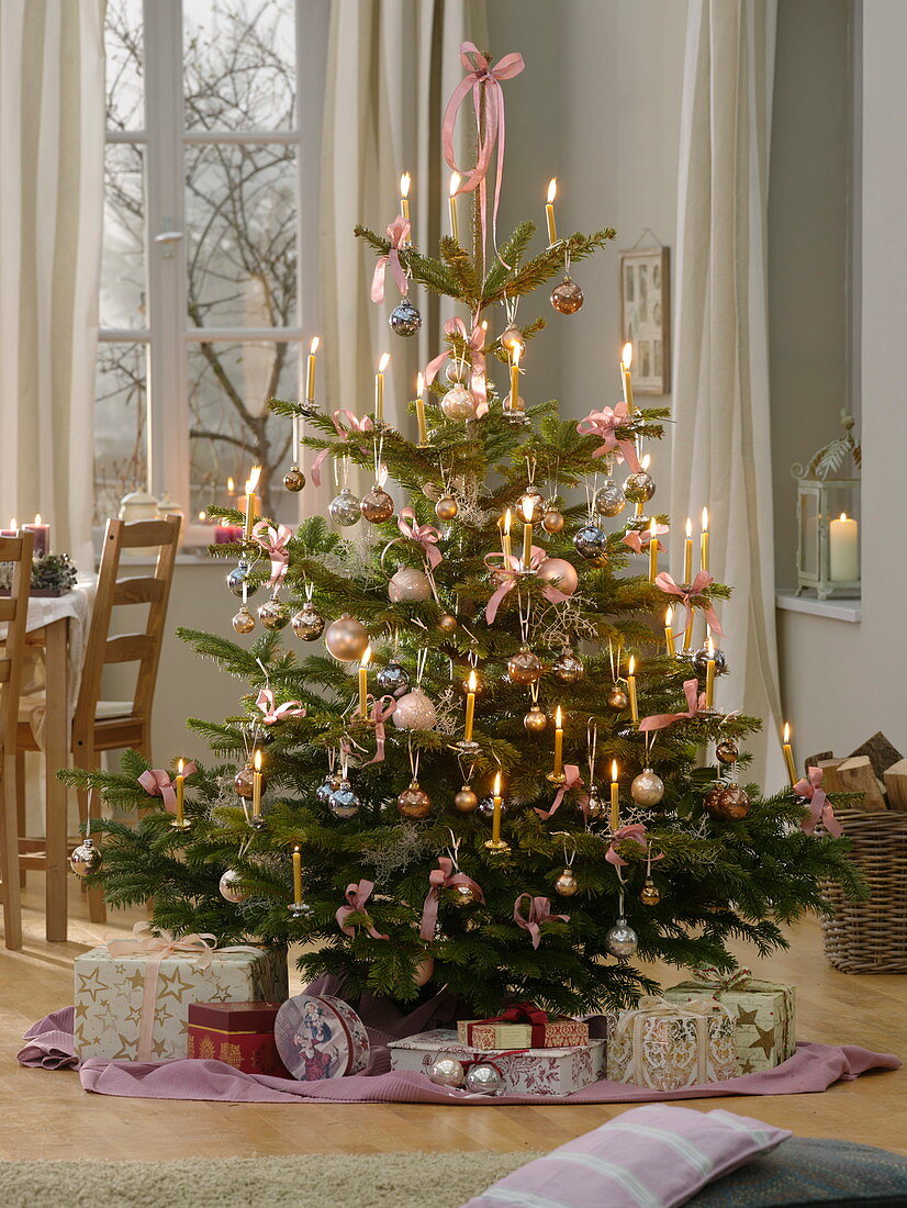 Abies nordmanniana (Nordmann fir) decorated with pastel baubles