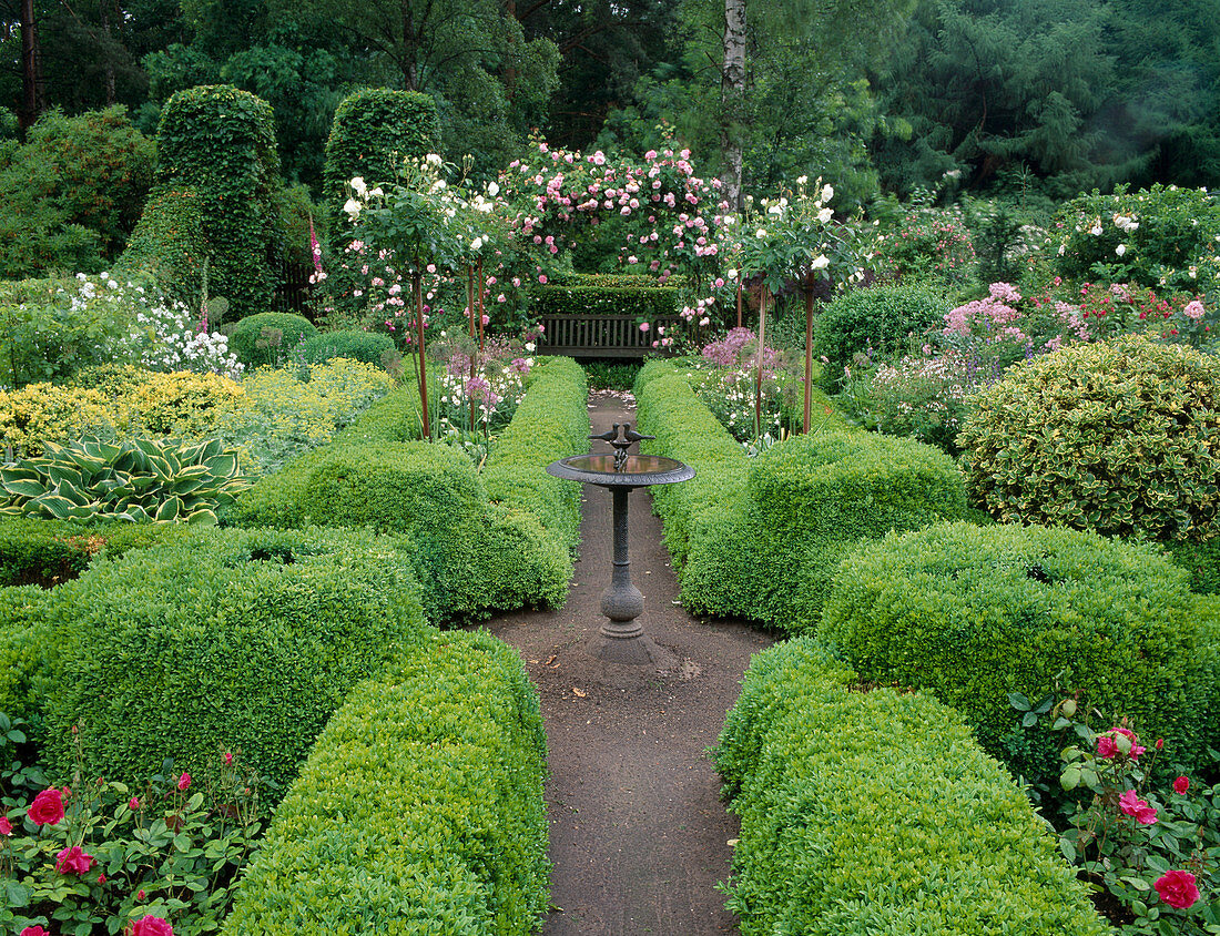 Formaler Garten mit Hecken aus Buxus (Buchs), Rosa (Rosen) Staemmchen und Kletterrosen, Hosta (Funkie), Alchemilla mollis (Frauenmantel), Vogeltränke, Holzbank