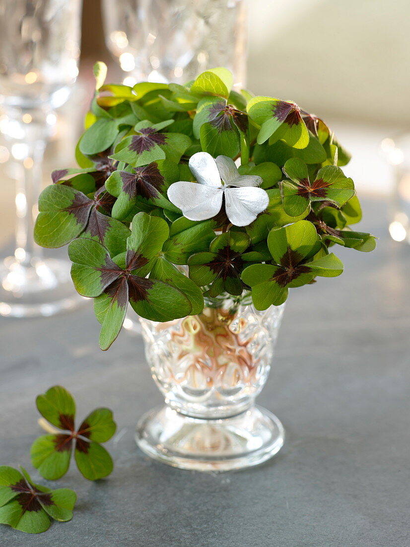 Kleiner Strauß aus Oxalis deppei (Glücksklee) mit einem silbernen Kleeblatt