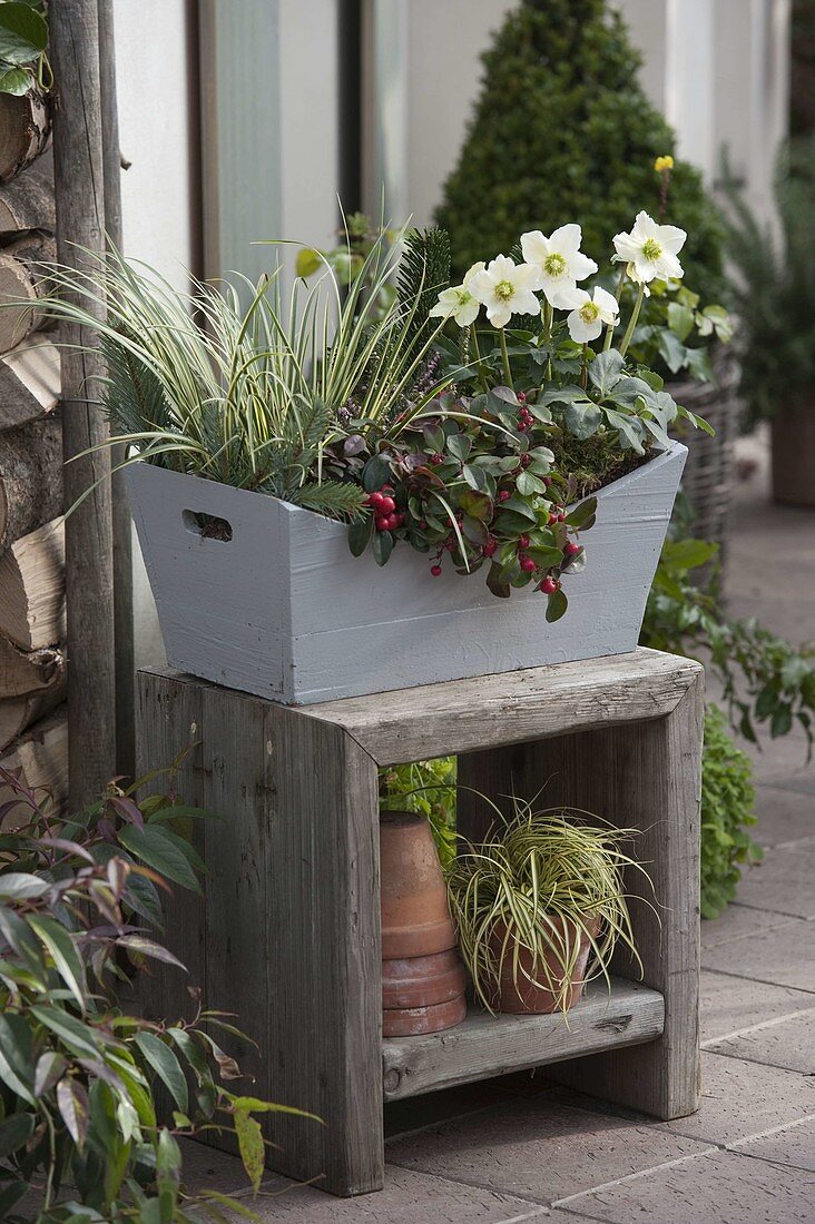 Hardy box wooden box