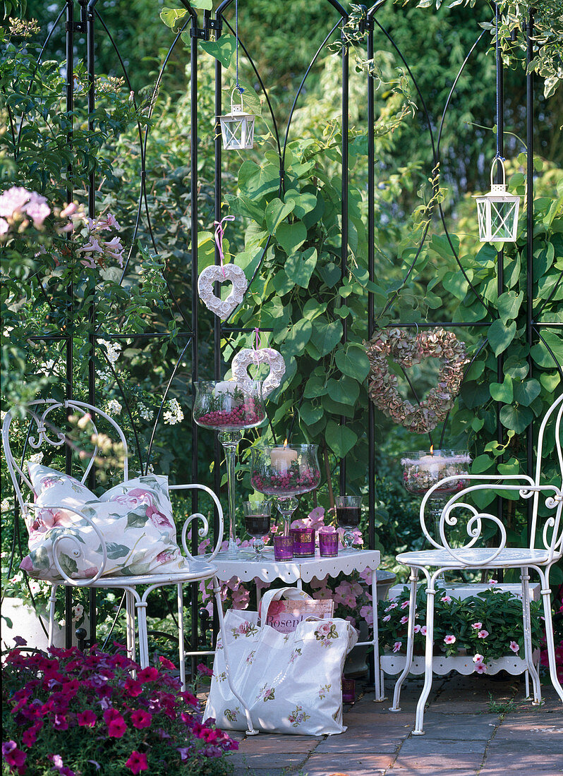 Seat in the pavilion on the terrace: Aristolochia (Pipevine)