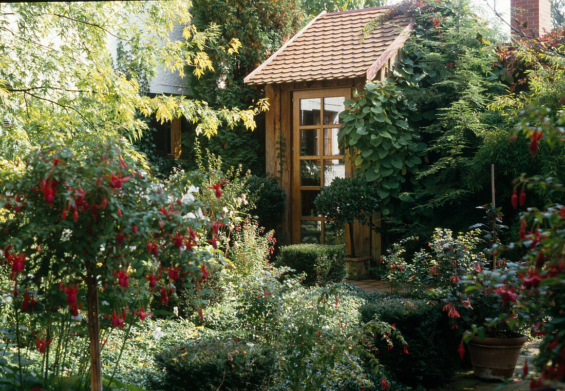 Front garden in partial shade