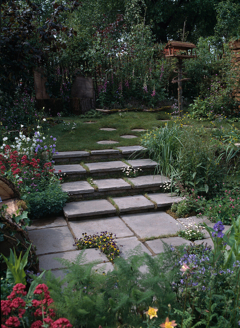 Garden view with Centranthus,Campanula, Digitalis