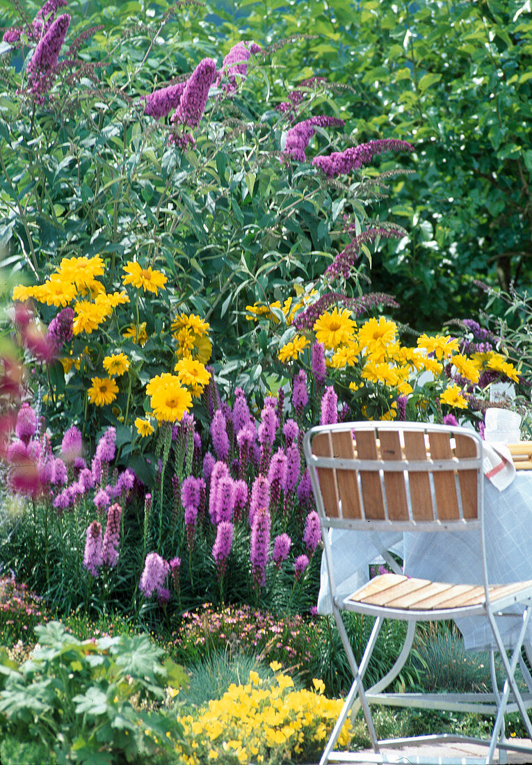 Garden view with Liatris (daisy)