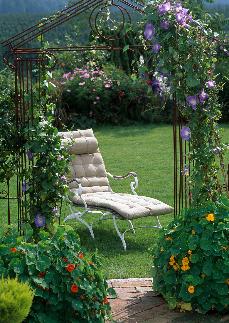 Deck chair in the garden