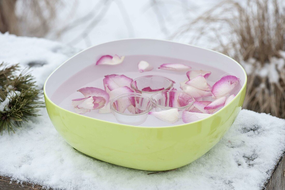 Homemade ice lanterns with rose petals (5/7)