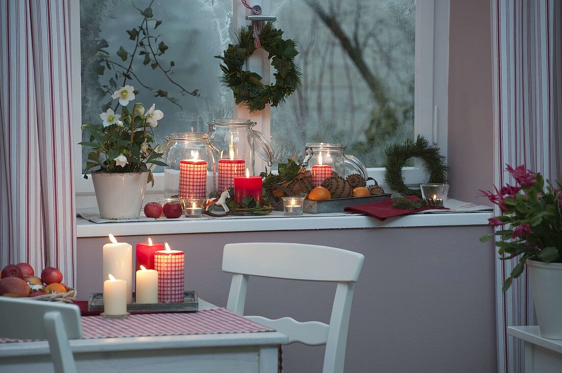 Christmas decorated windowsill with Helleborus niger