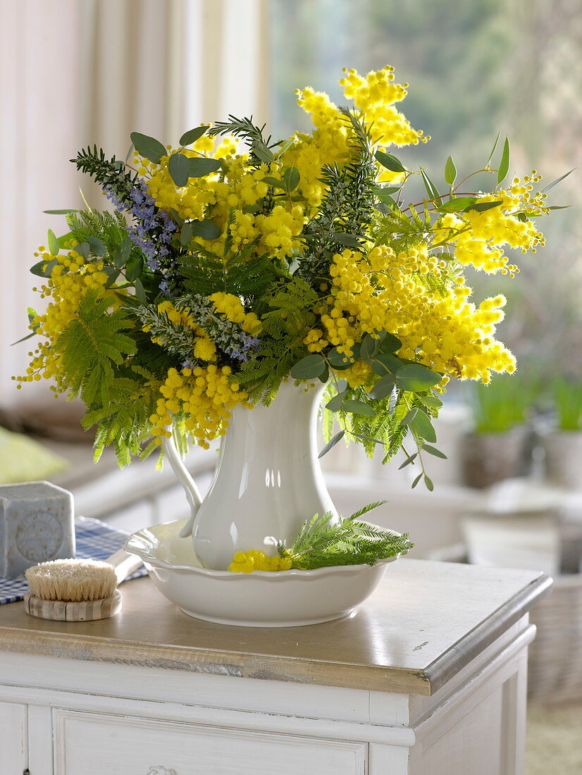 Fragrant yellow bouquet of Acacia (mimosa), flowering rosemary