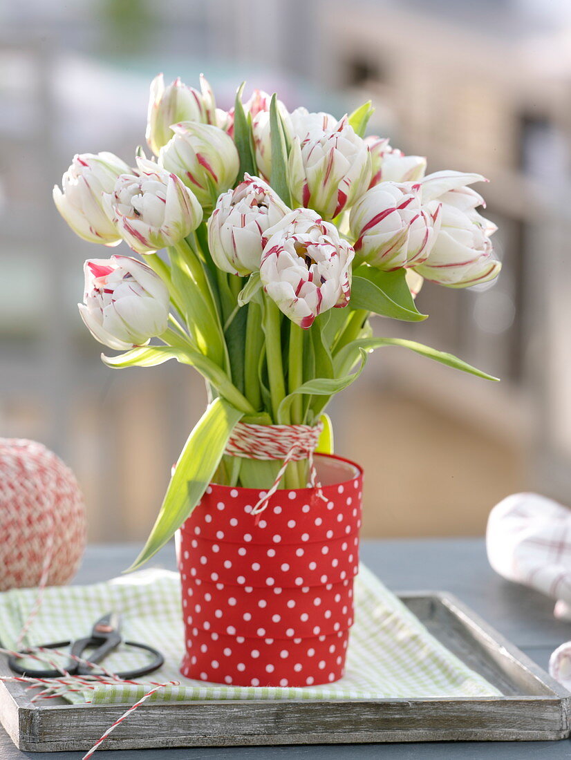 Stehstrauß aus Tulipa 'Carneval de Nice' (Tulpen)