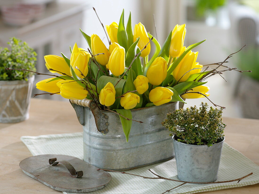 Bouquet of yellow tulips