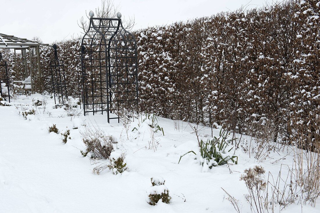 Verschneites Gartenbeet mit Metall-Laube