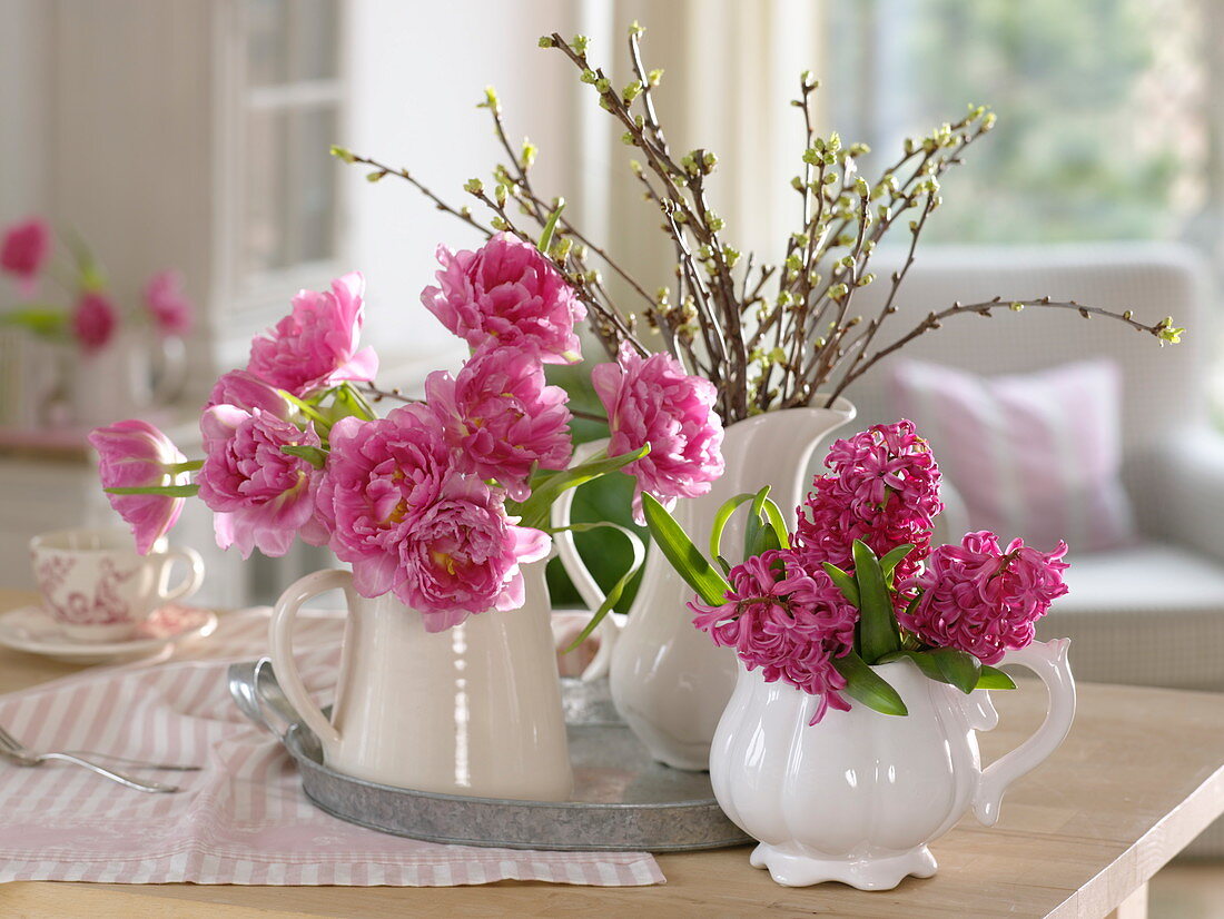 White pots with Tulipa 'Dior' (double tulips), Hyacinthus 'Pink Pearl'.