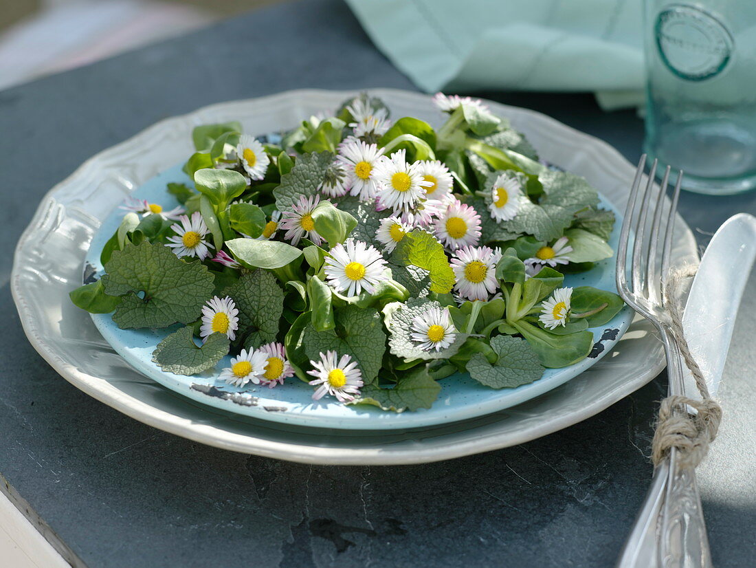 Spring cure with wild herbs