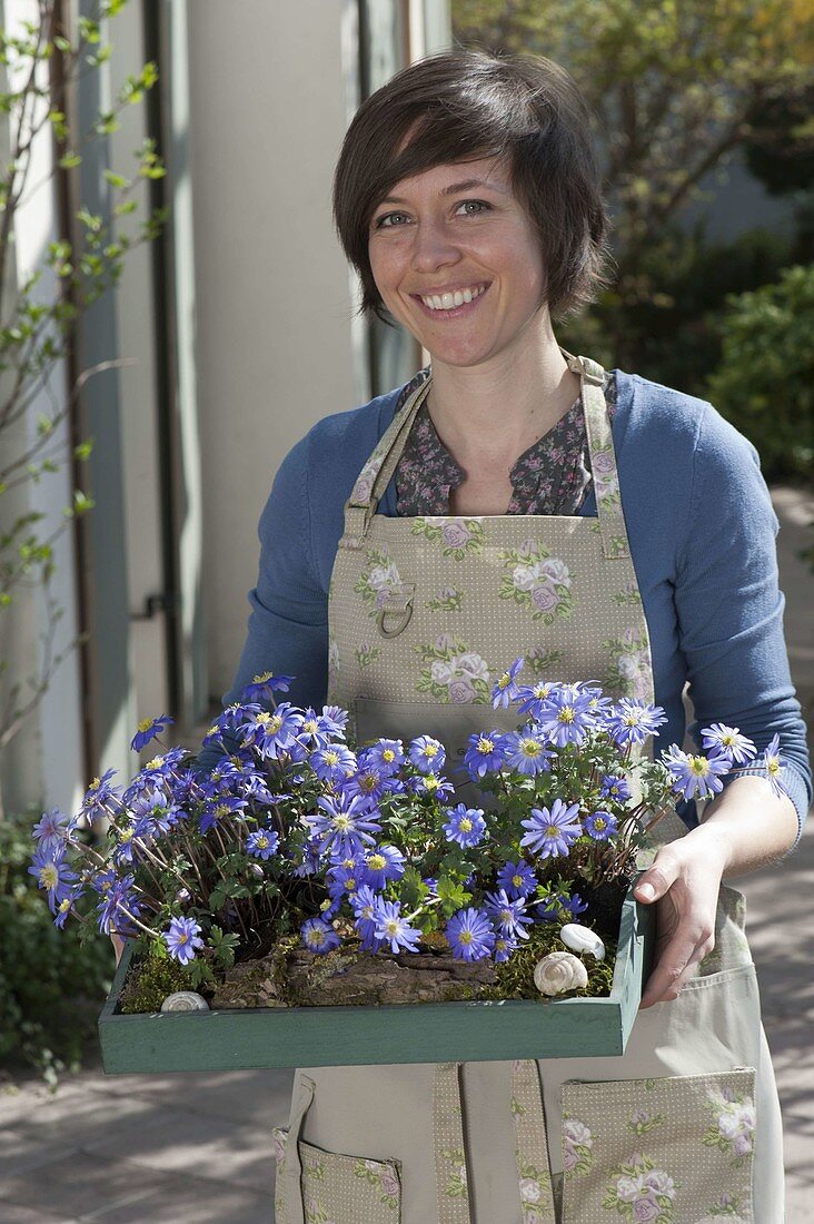 Woman with anemone blanda (ray anemone) on wooden tray