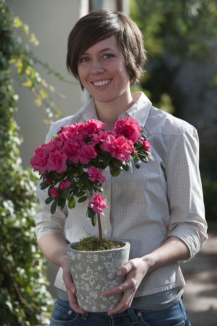 Woman with stem of Rhododendron simsii (indoor azalea)