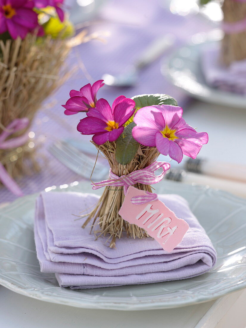 Table decoration with cushion primroses in a hay coat (6/6)