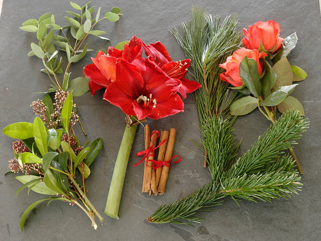 Ingredient style for red Christmas bouquet: Hippeastrum 'Red Lion' (Amaryllis)