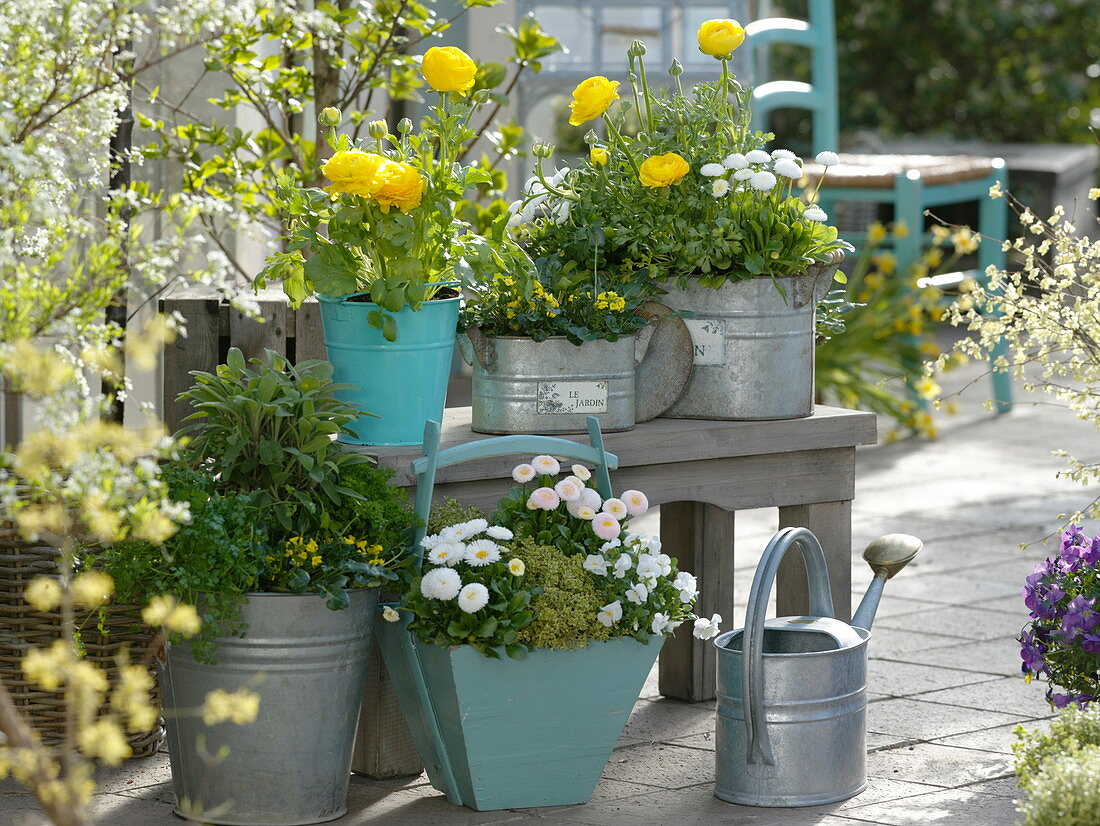 White-yellow spring terrace