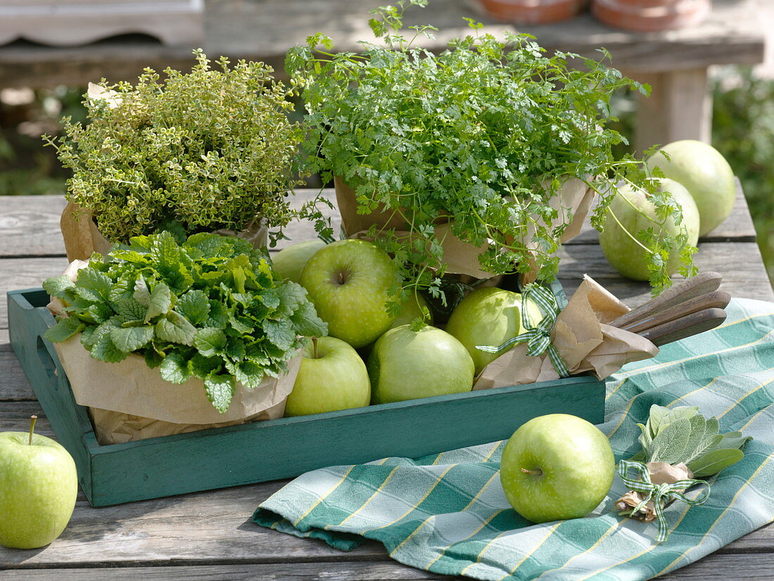 Herbs with green apples on wooden tray