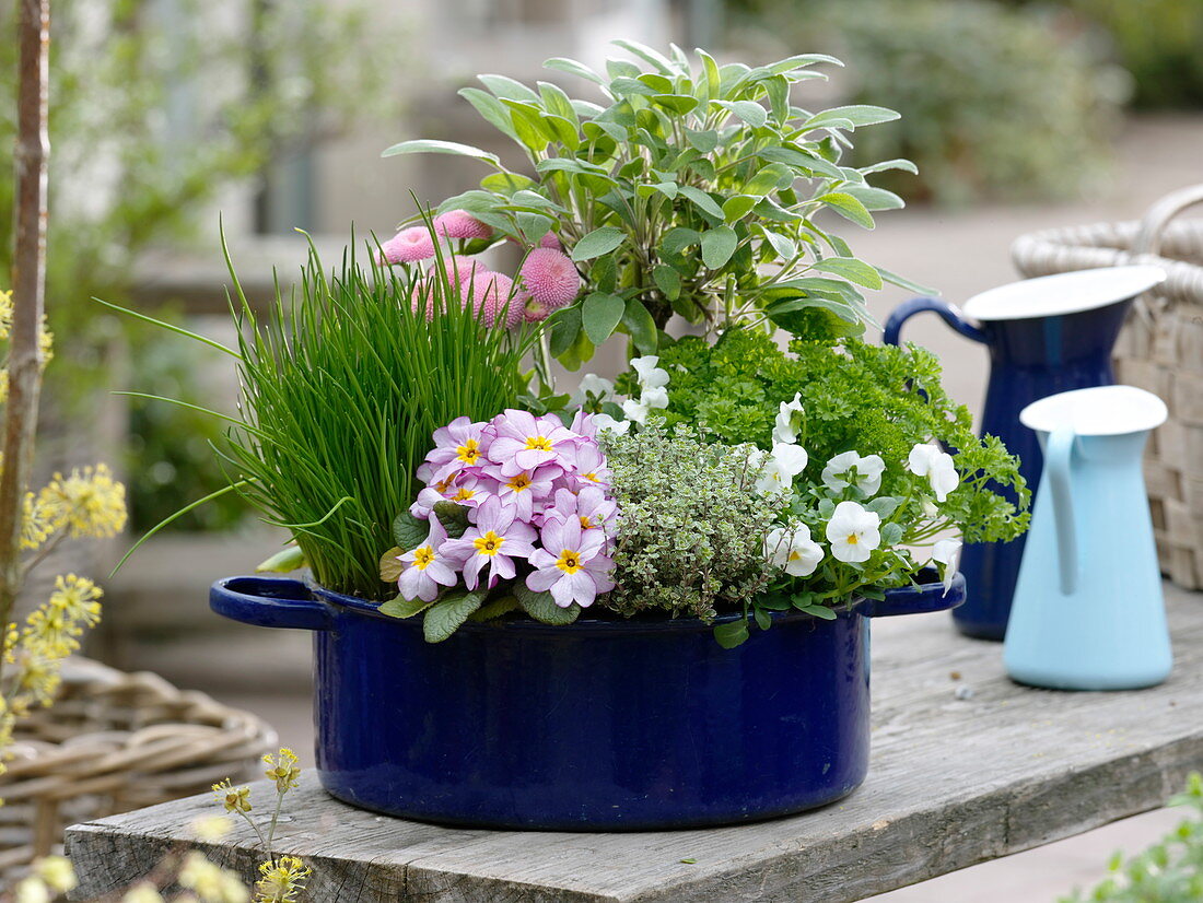 Herbs and edible flowers