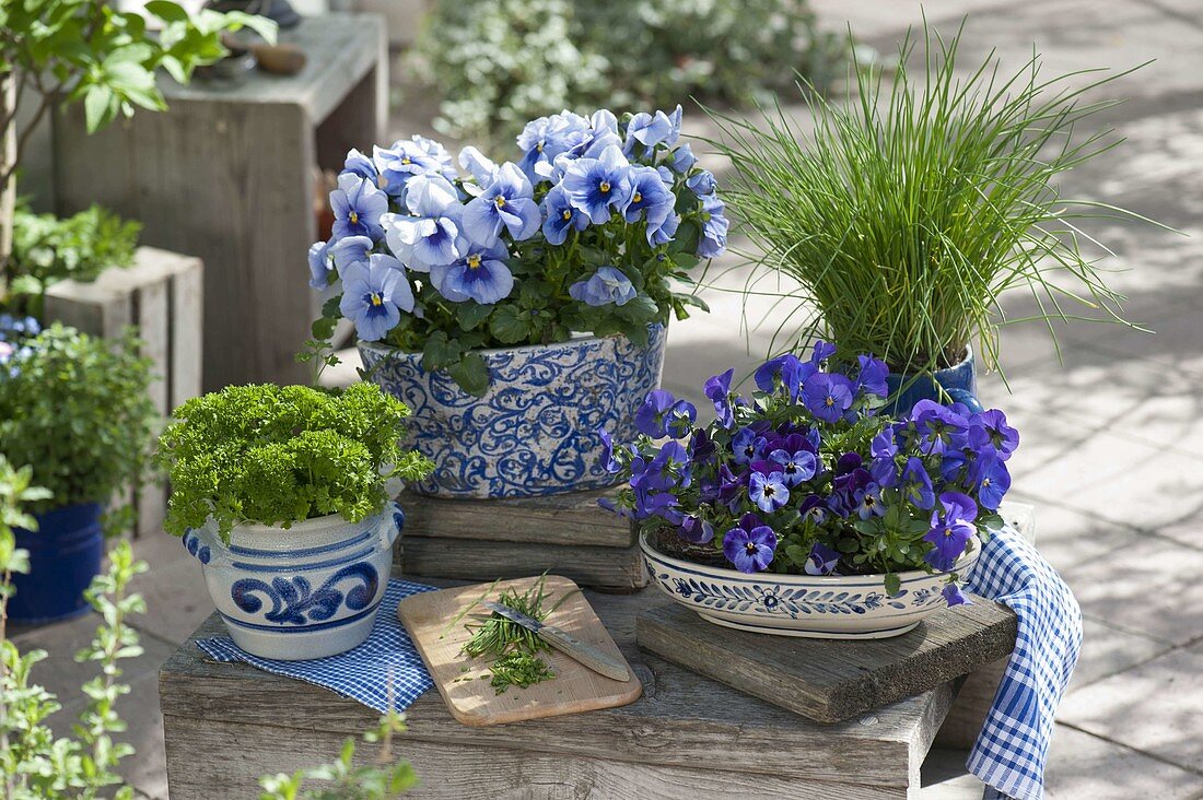 Vessels with herbs and edible flowers