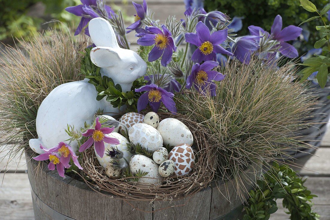 Holzkübel mit Pulsatilla als Osternest