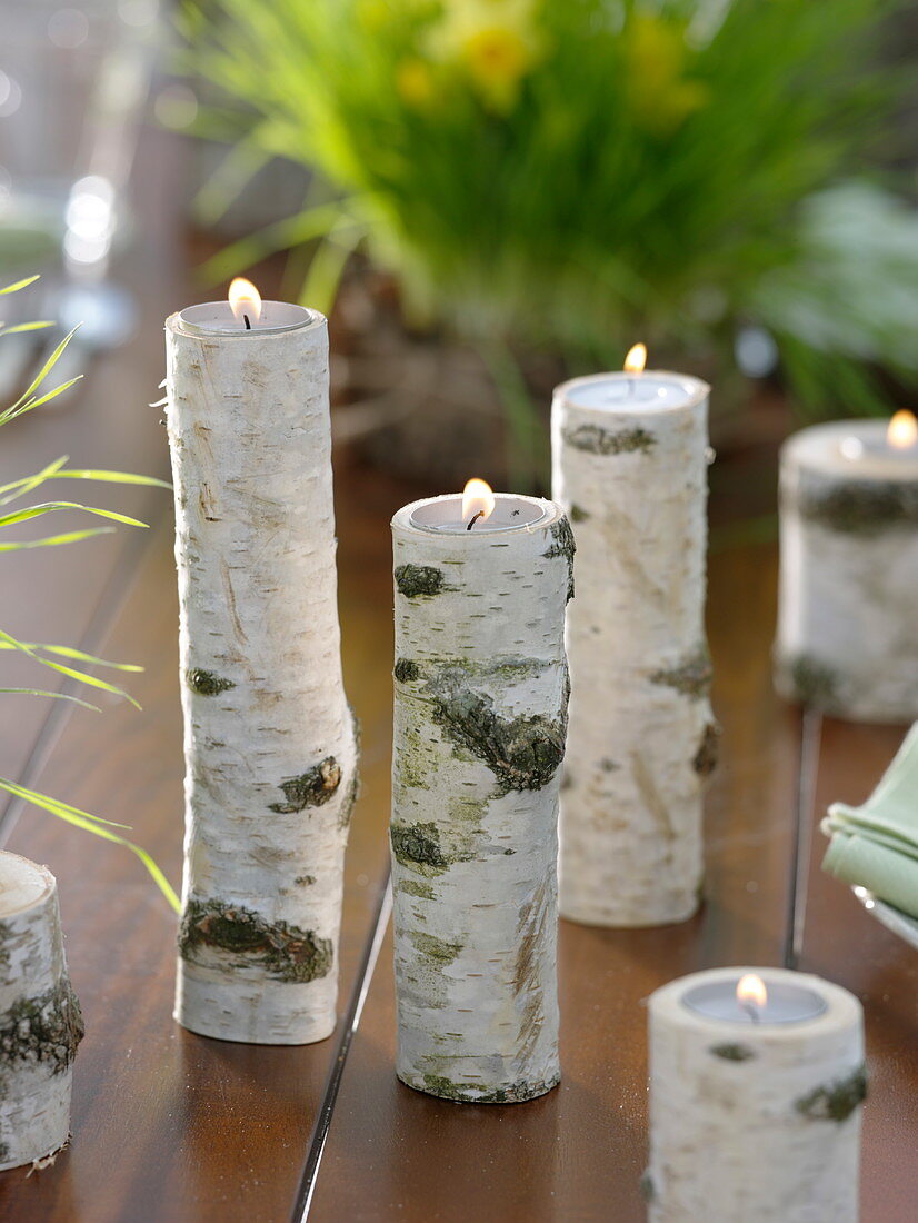 Table decoration with wheatgrass, daffodil and birch