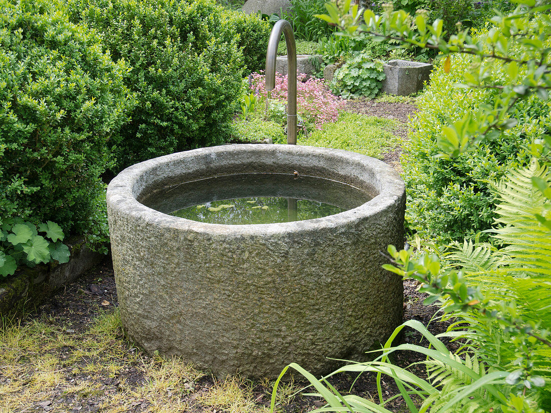 Round stone trough with water tap as fountain, Buxus (box), perennials